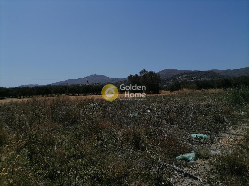 Αγροτεμάχιο στην Πετροκεφάλι, Μοίρες — Φωτογραφία 16 από 21