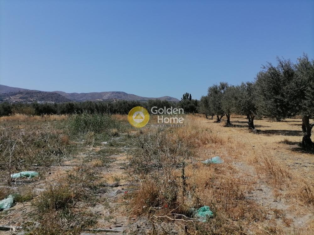 Αγροτεμάχιο στην Πετροκεφάλι, Μοίρες — Φωτογραφία 17 από 21
