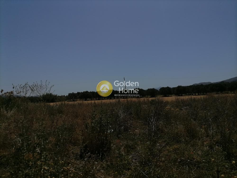Αγροτεμάχιο στην Πετροκεφάλι, Μοίρες — Φωτογραφία 18 από 21