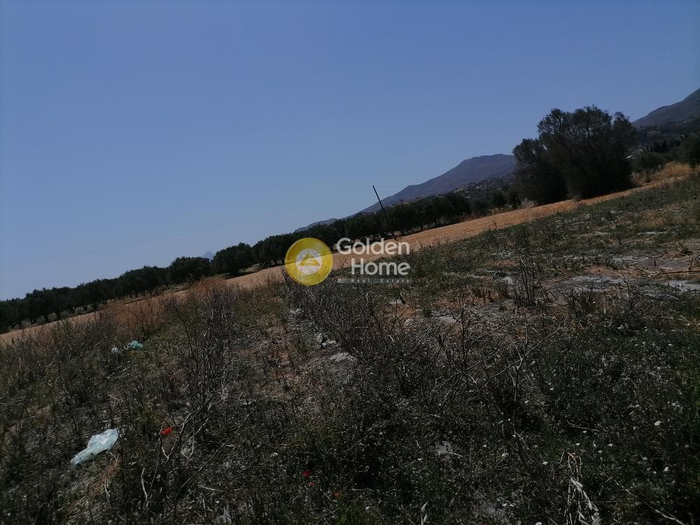 Αγροτεμάχιο στην Πετροκεφάλι, Μοίρες — Φωτογραφία 19 από 21