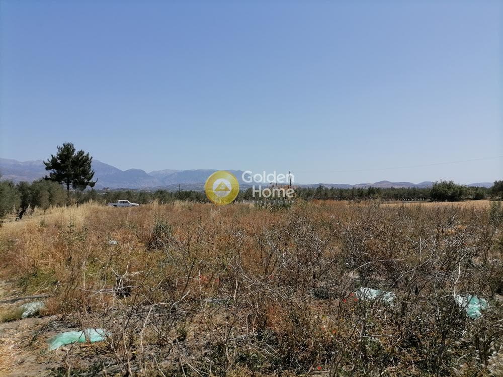 Αγροτεμάχιο στην Πετροκεφάλι, Μοίρες — Φωτογραφία 21 από 21
