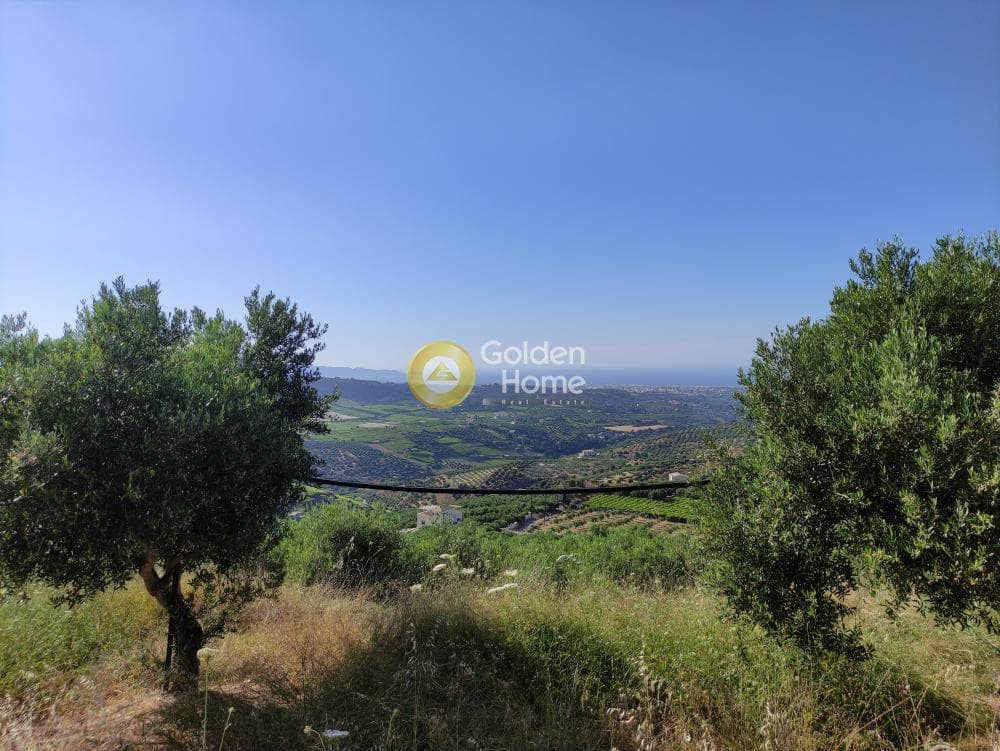 Οικόπεδο στην Πατσίδες, Αρχάνες — Φωτογραφία 16 από 17