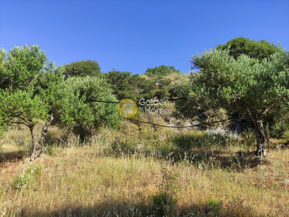 Οικόπεδο στην Πατσίδες, Αρχάνες — Φωτογραφία 12 από 17
