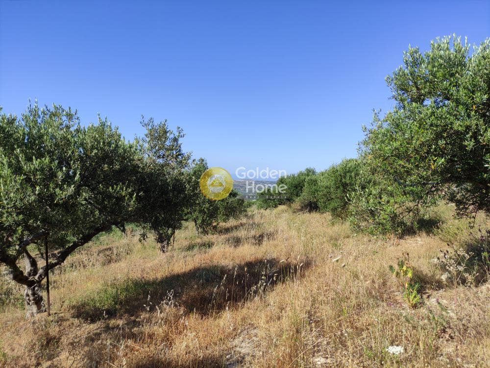 Οικόπεδο στην Πατσίδες, Αρχάνες — Φωτογραφία 10 από 17