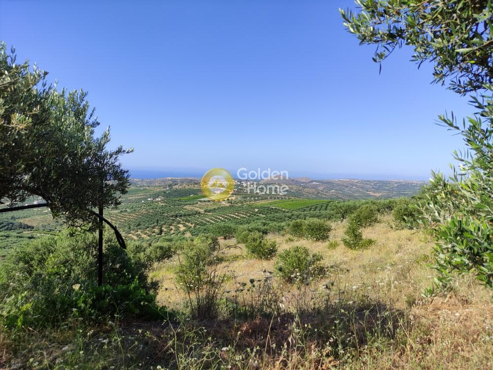 Οικόπεδο στην Πατσίδες, Αρχάνες — Φωτογραφία 9 από 17