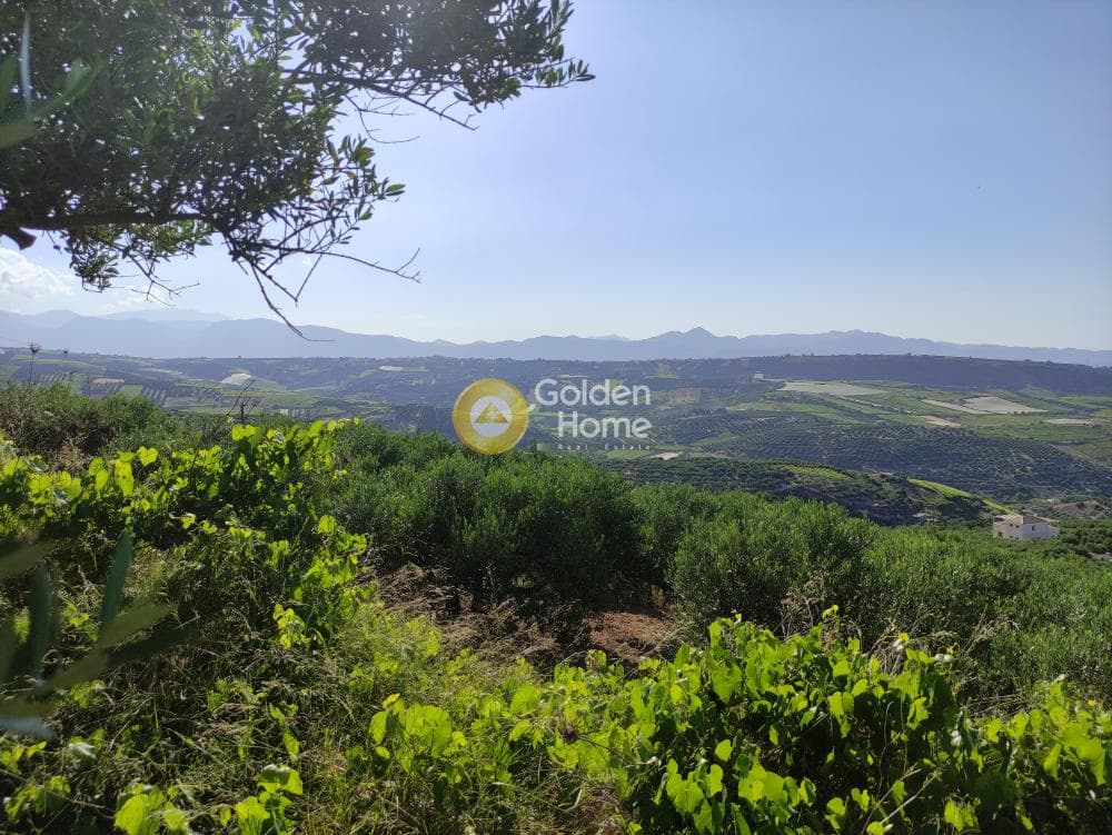 Οικόπεδο στην Πατσίδες, Αρχάνες — Φωτογραφία 7 από 17