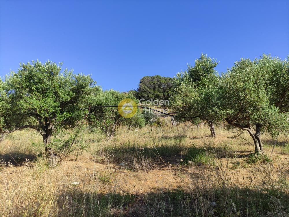 Οικόπεδο στην Πατσίδες, Αρχάνες — Φωτογραφία 14 από 17