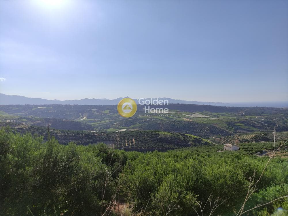 Οικόπεδο στην Πατσίδες, Αρχάνες — Φωτογραφία 5 από 17