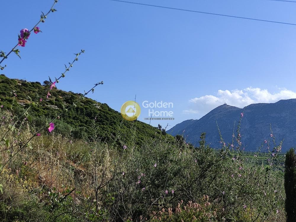 Οικόπεδο στην Πατσίδες, Αρχάνες — Φωτογραφία 17 από 17