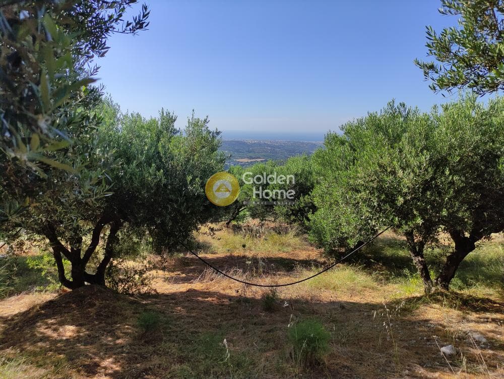 Οικόπεδο στην Πατσίδες, Αρχάνες — Φωτογραφία 11 από 17