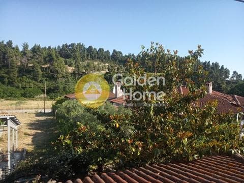 Μονοκατοικία στην Κέντρο, Κασσάνδρα — Φωτογραφία 40 από 55