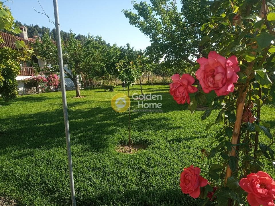 Μονοκατοικία στην Κέντρο, Κασσάνδρα — Φωτογραφία 47 από 55