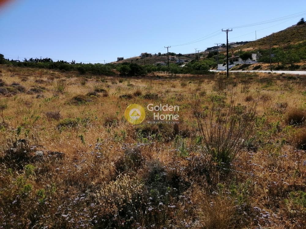 Αγροτεμάχιο στην Πόρτο Εννιά, Κερατέα — Φωτογραφία 11 από 25