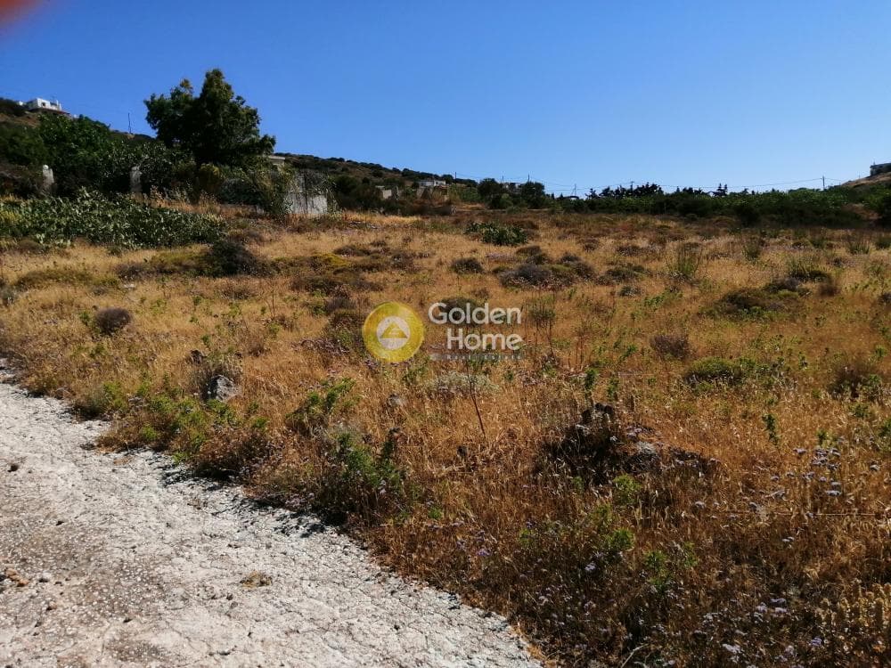 Αγροτεμάχιο στην Πόρτο Εννιά, Κερατέα — Φωτογραφία 12 από 25