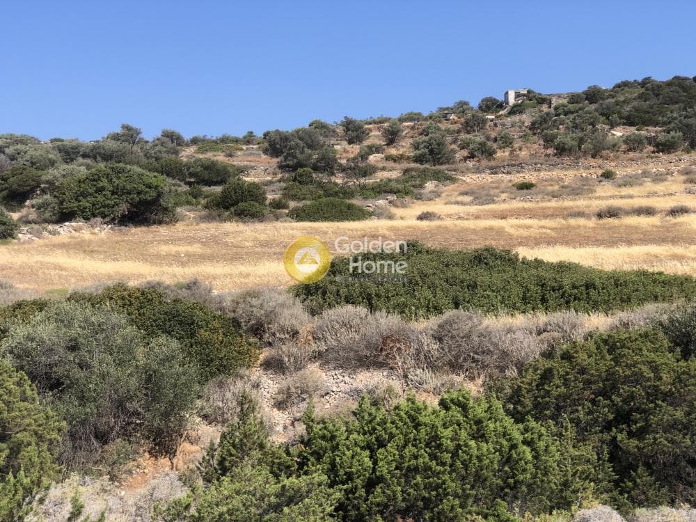 Parcel in Kamari, Paros — Photo 9 of 12