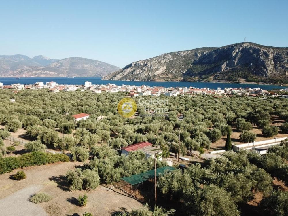 Μονοκατοικία στην Κέντρο, Αντικύρα — Φωτογραφία 37 από 37