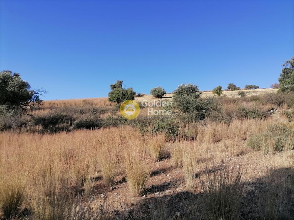 Building Plot in Listaros, Moires — Photo 3 of 19