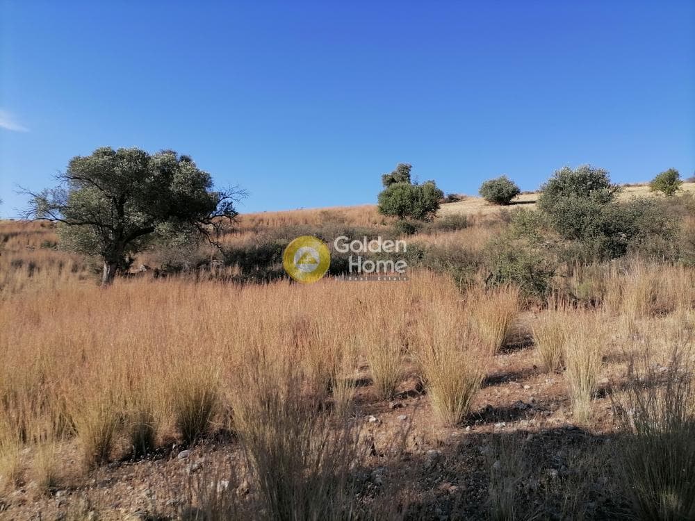 Building Plot in Listaros, Moires — Photo 4 of 19