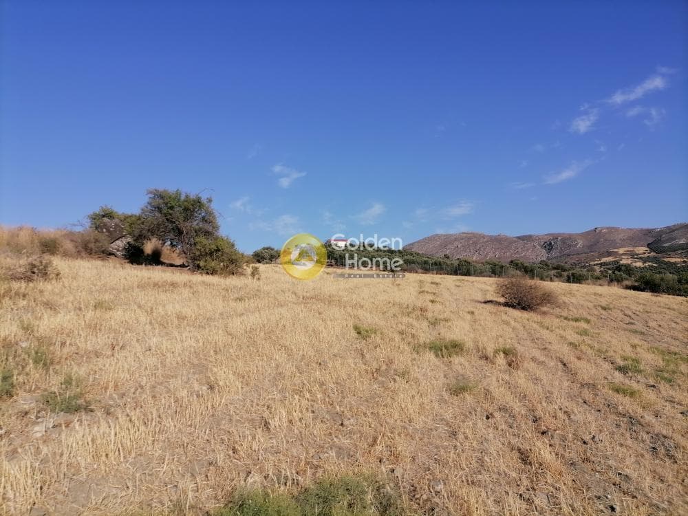 Building Plot in Listaros, Moires — Photo 12 of 19