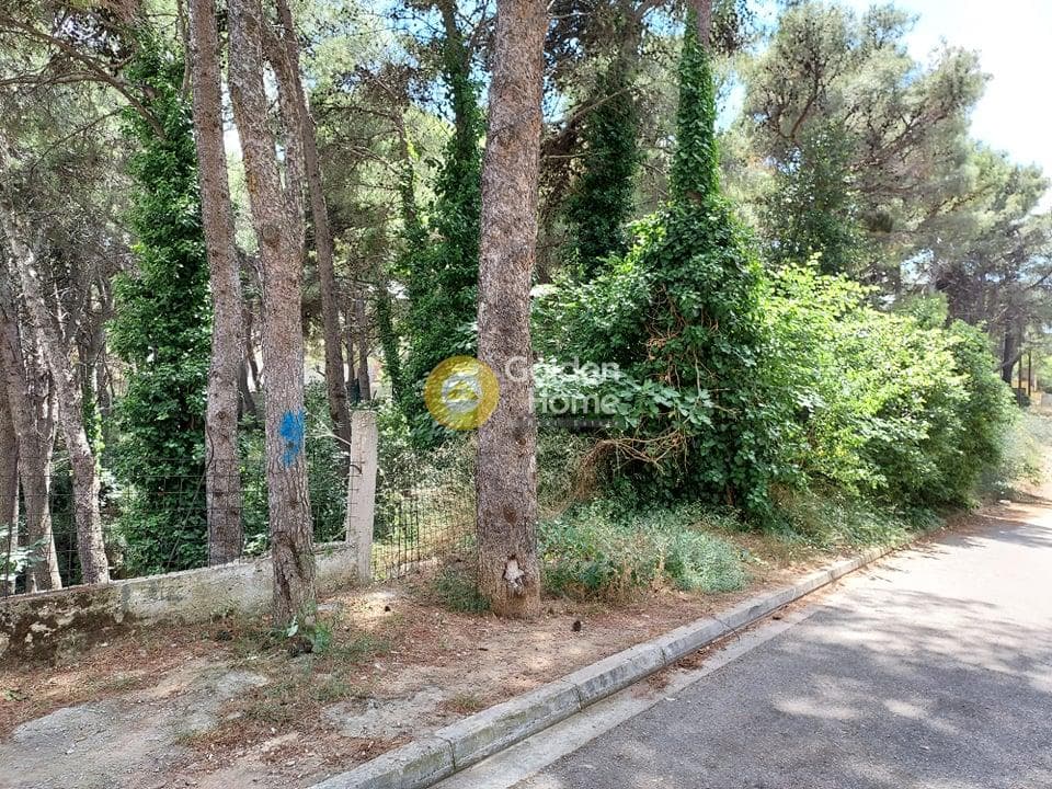 Οικόπεδο στην Μεγάλα Σχοινία Α, Αχαρνές — Φωτογραφία 1 από 5