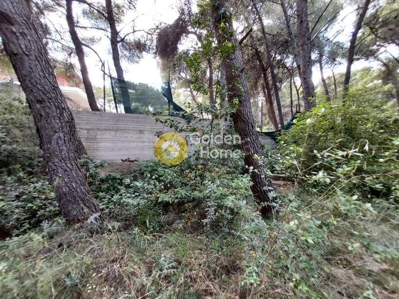Οικόπεδο στην Μεγάλα Σχοινία Α, Αχαρνές — Φωτογραφία 4 από 5