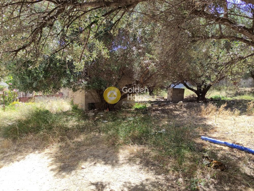 Building Plot in Agia Triada, Heraclion Cretes — Photo 5 of 10