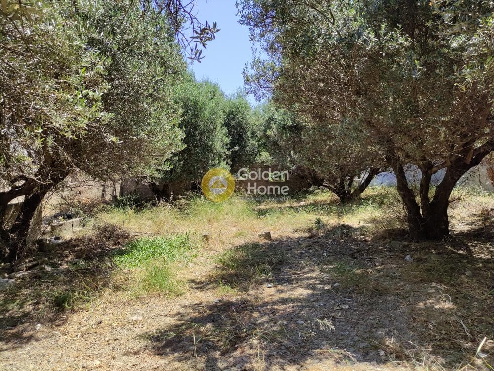 Building Plot in Agia Triada, Heraclion Cretes — Photo 2 of 10