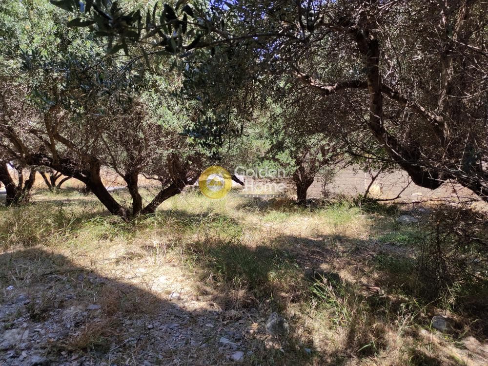 Building Plot in Agia Triada, Heraclion Cretes — Photo 3 of 10