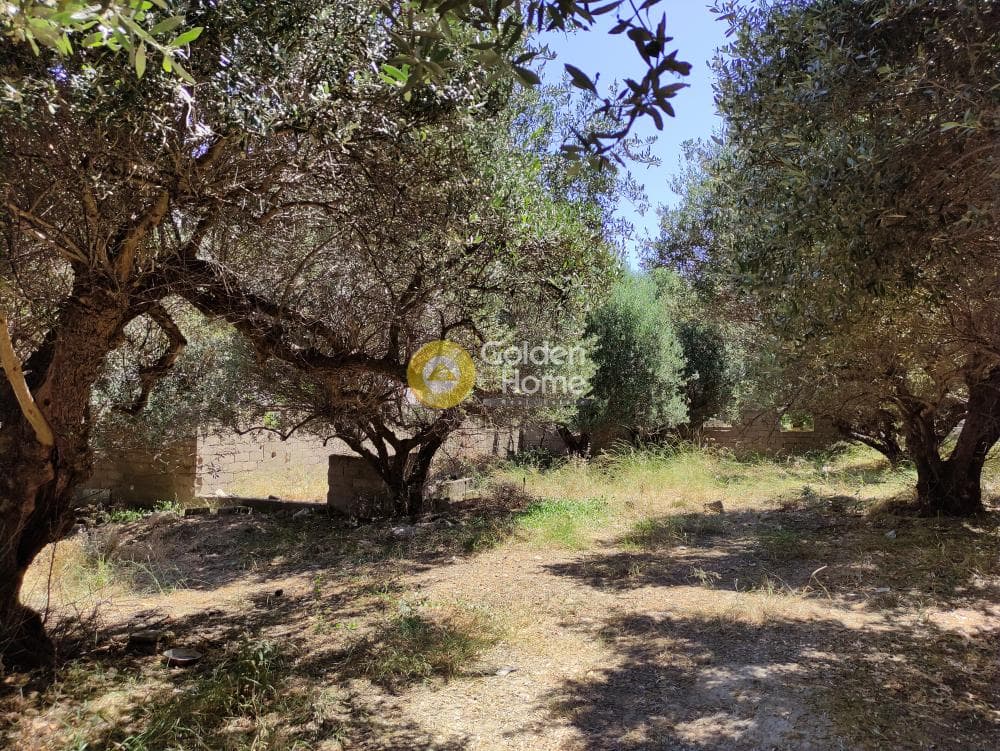 Building Plot in Agia Triada, Heraclion Cretes — Photo 4 of 10