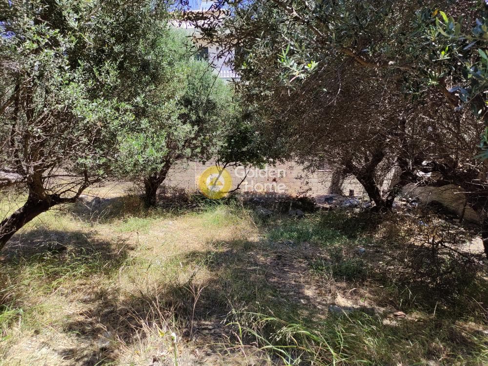 Building Plot in Agia Triada, Heraclion Cretes — Photo 6 of 10