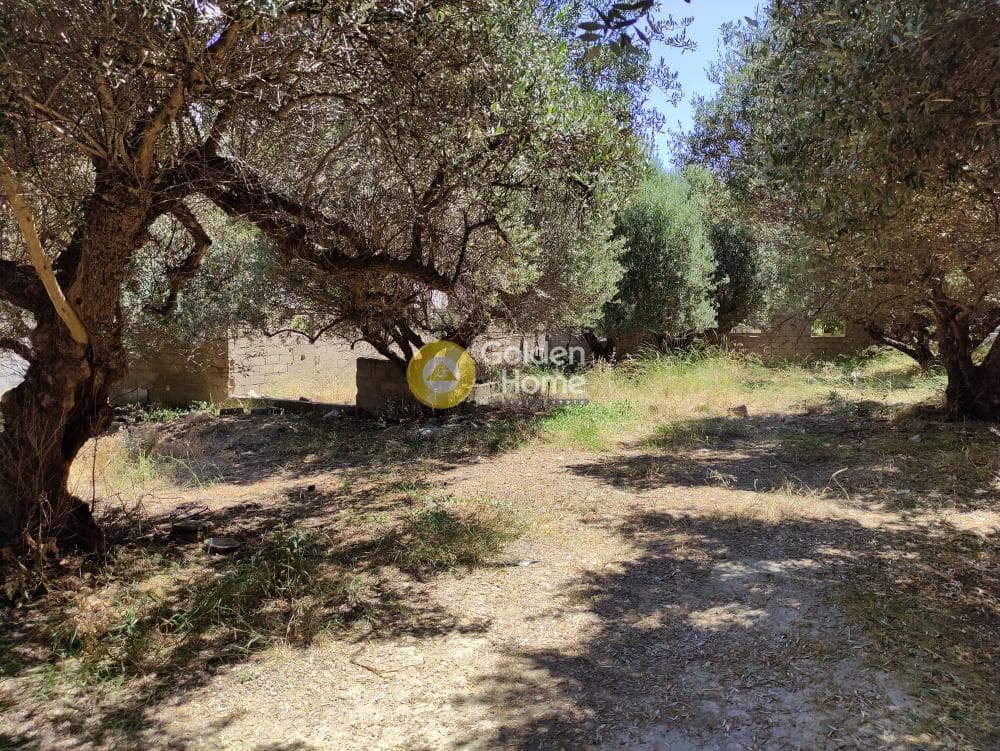 Building Plot in Agia Triada, Heraclion Cretes — Photo 7 of 10
