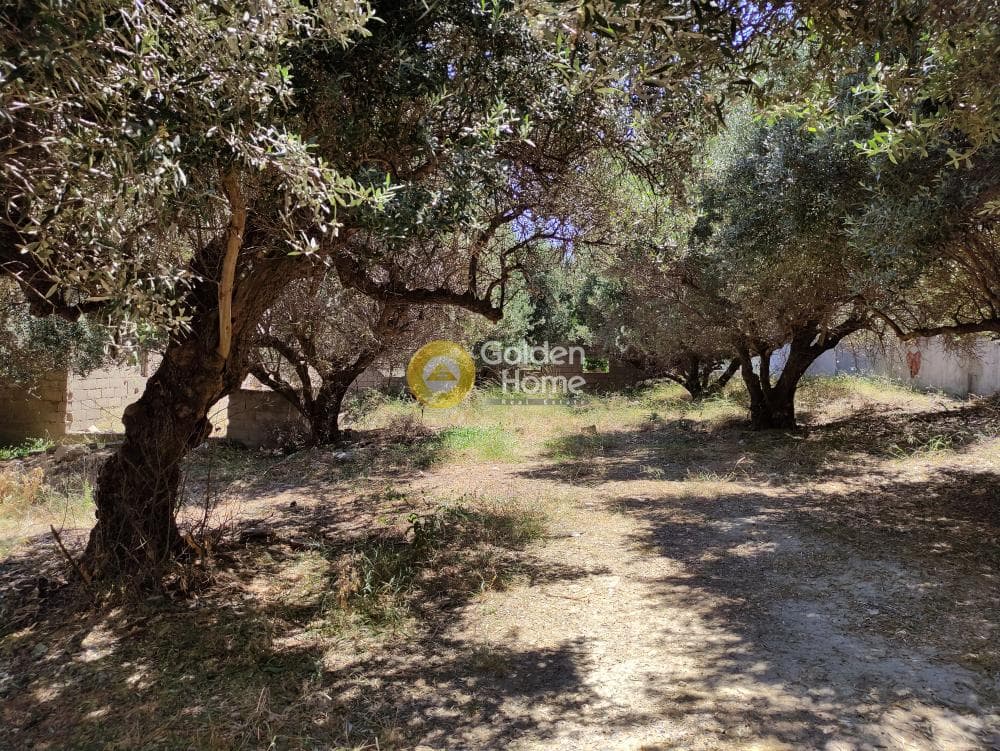 Building Plot in Agia Triada, Heraclion Cretes — Photo 8 of 10