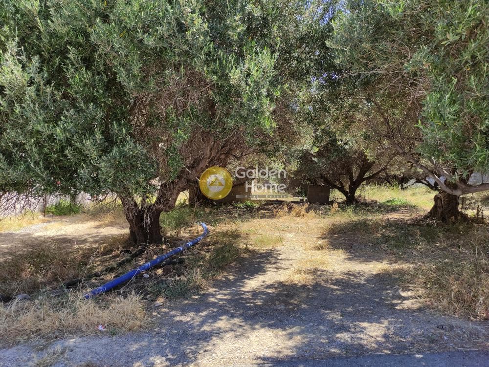 Building Plot in Agia Triada, Heraclion Cretes — Photo 9 of 10