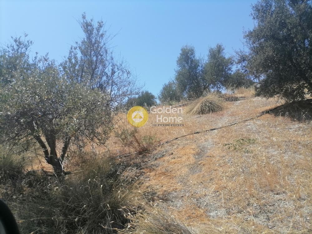 Building Plot in Kamilari, Timpaki — Photo 13 of 27