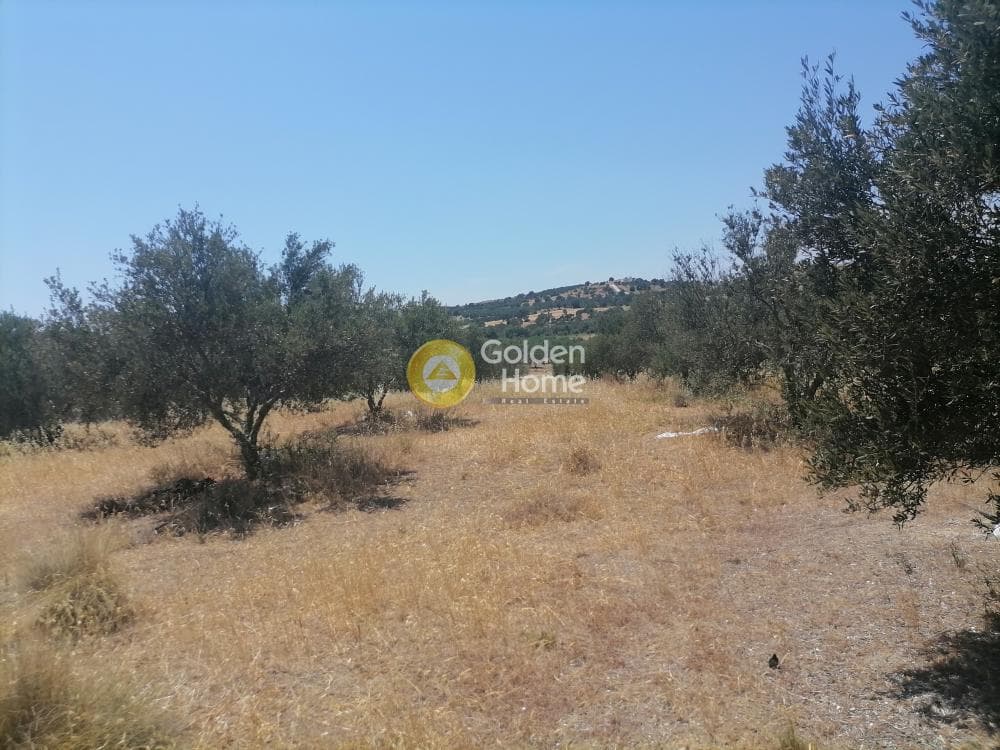 Building Plot in Kamilari, Timpaki — Photo 21 of 27