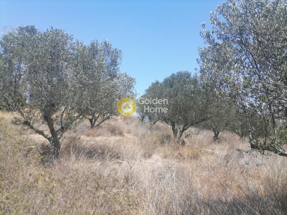 Building Plot in Kamilari, Timpaki — Photo 19 of 26
