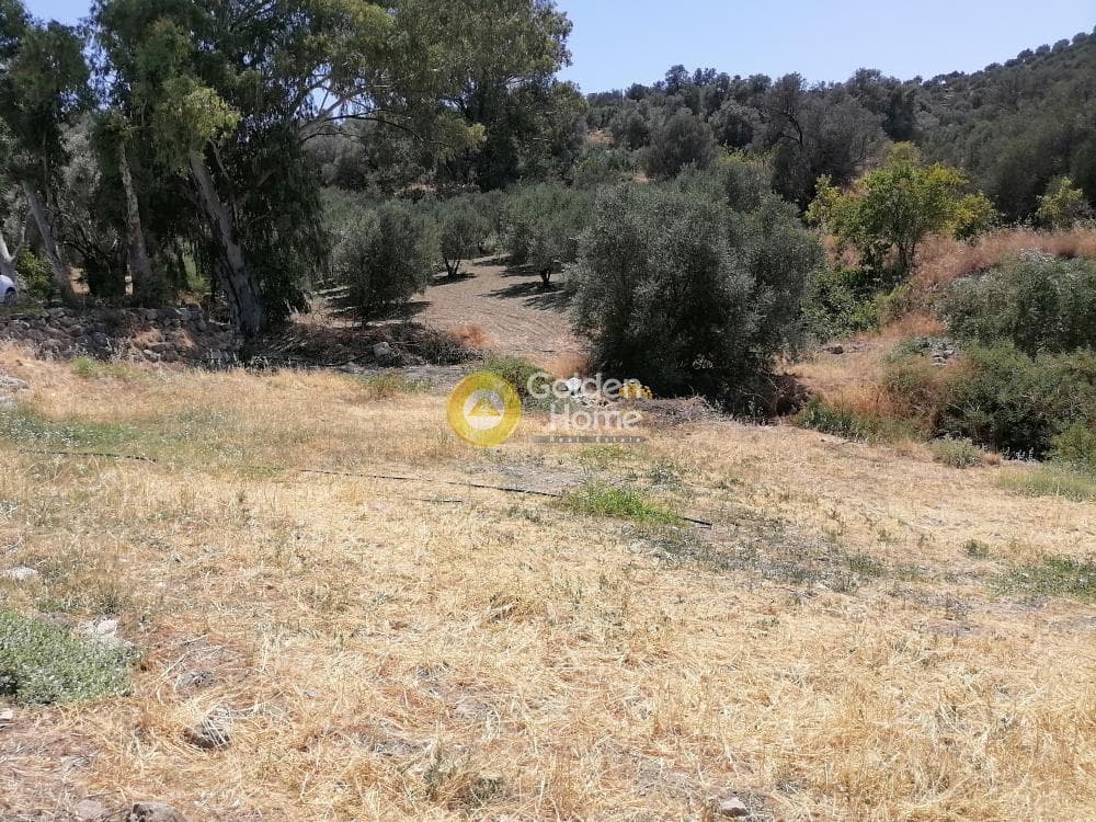 Οικόπεδο στην Κουσές, Μοίρες — Φωτογραφία 9 από 16