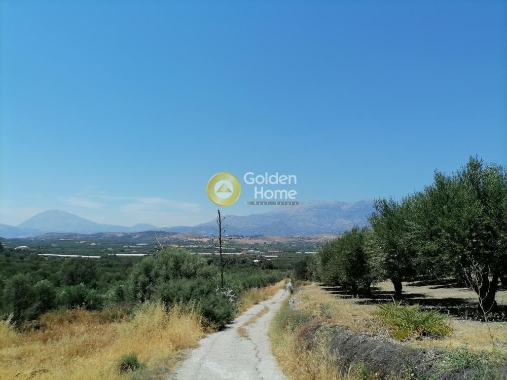 Οικόπεδο στην Κουσές, Μοίρες — Φωτογραφία 11 από 16