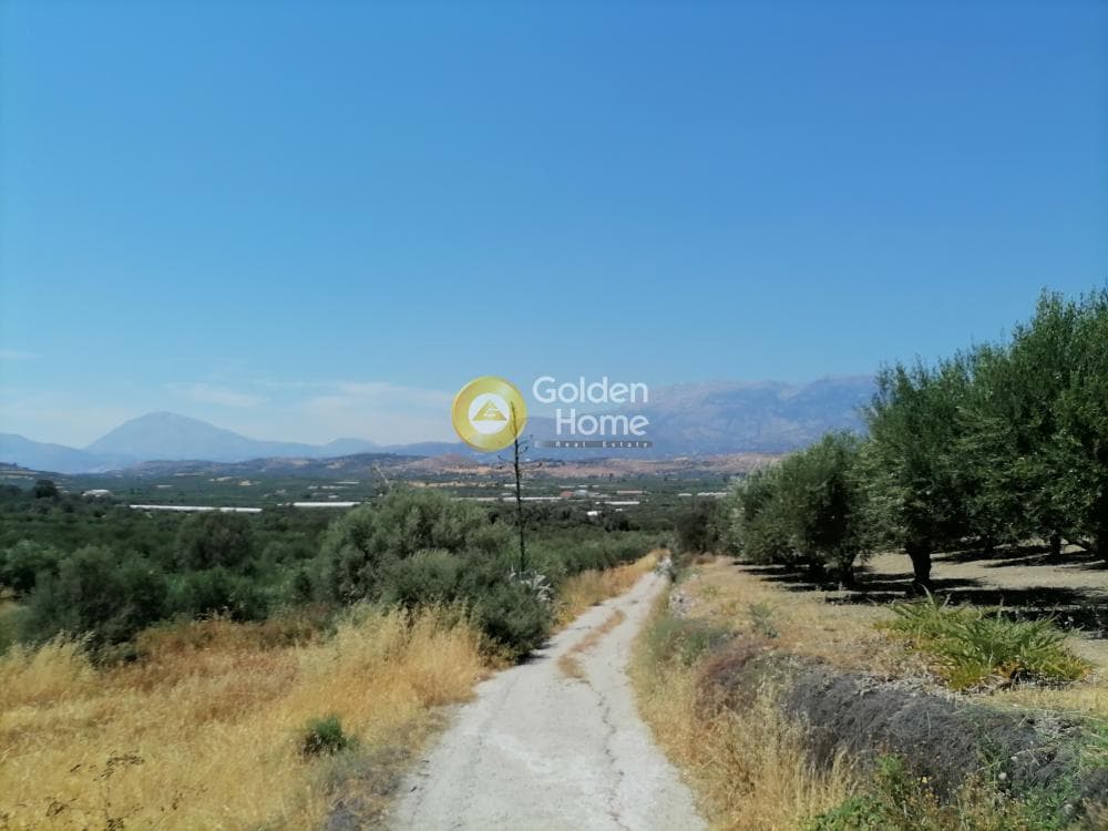 Οικόπεδο στην Κουσές, Μοίρες — Φωτογραφία 15 από 16