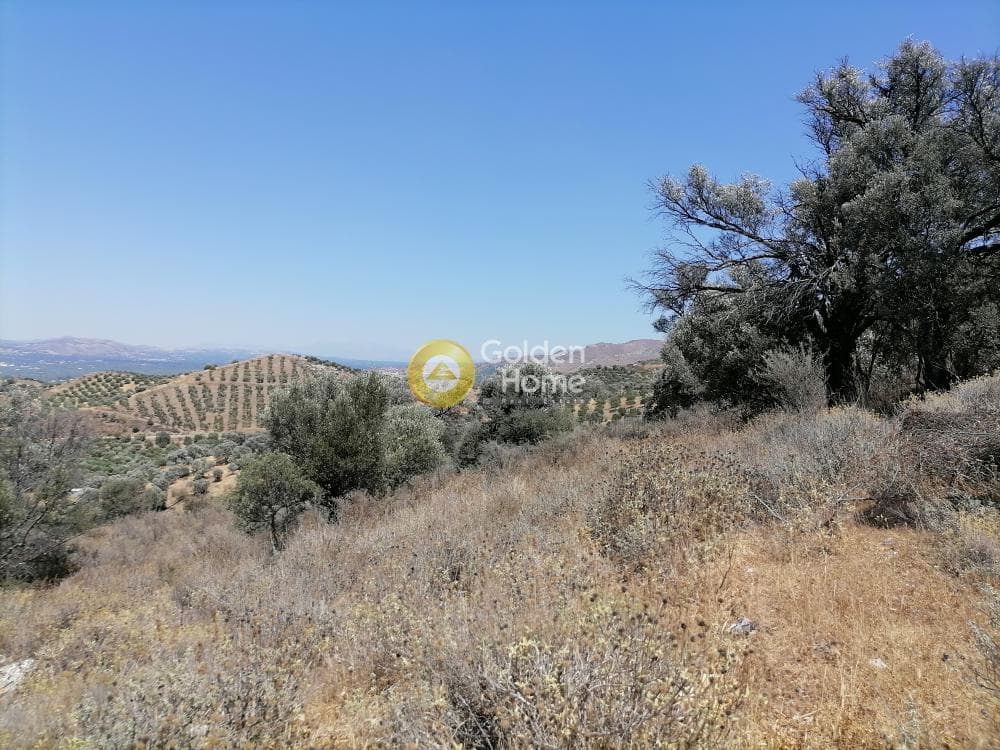 Οικόπεδο στην Κουσές, Μοίρες — Φωτογραφία 16 από 24