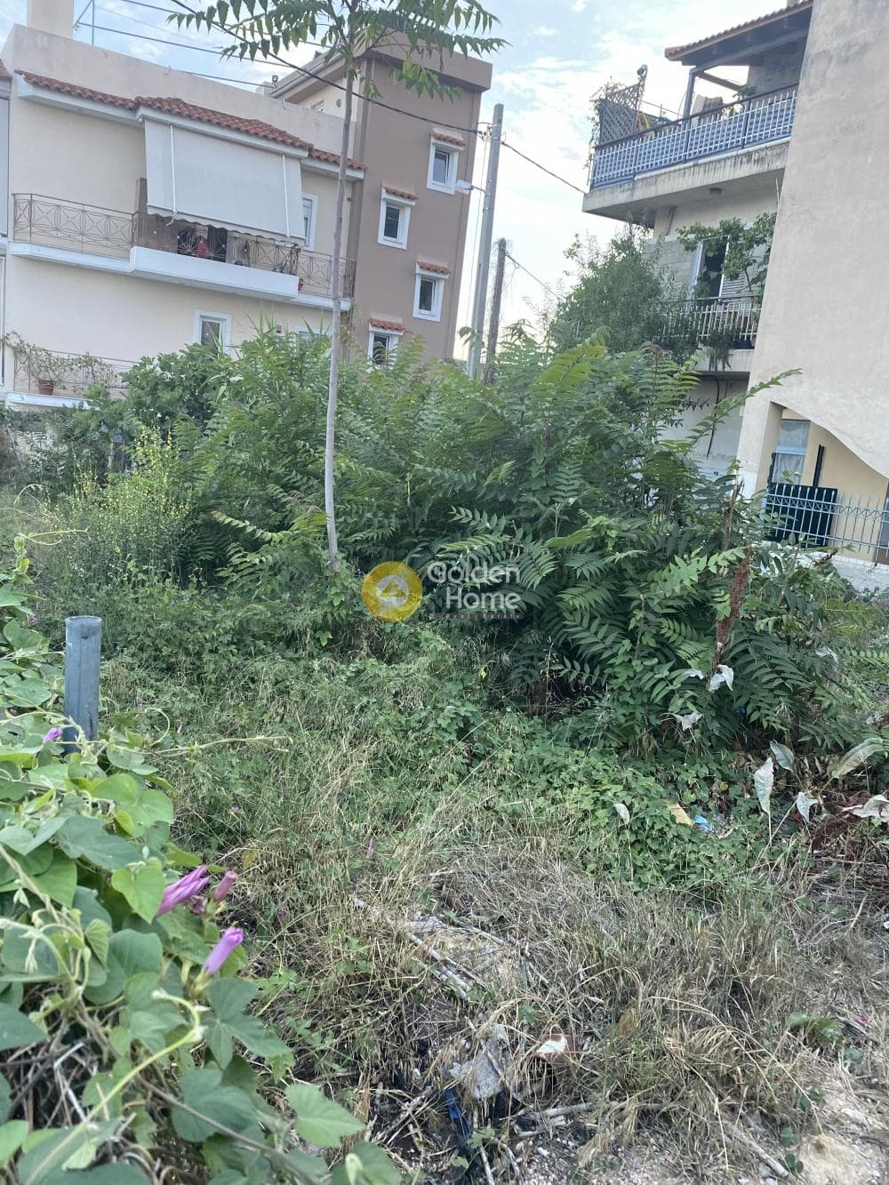 Building Plot in Pirgouthi, Acharnes — Photo 2 of 5