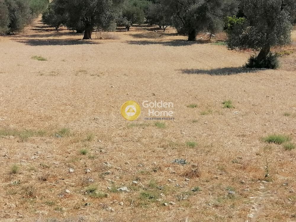 Οικόπεδο στην Κουσές, Μοίρες — Φωτογραφία 13 από 22