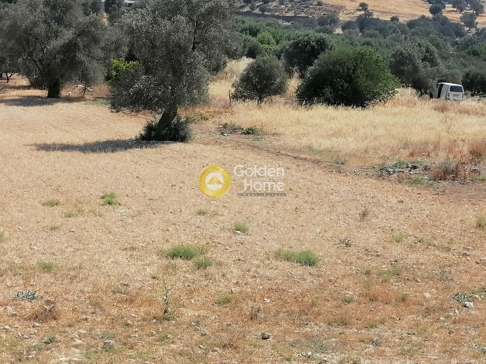 Οικόπεδο στην Κουσές, Μοίρες — Φωτογραφία 14 από 22