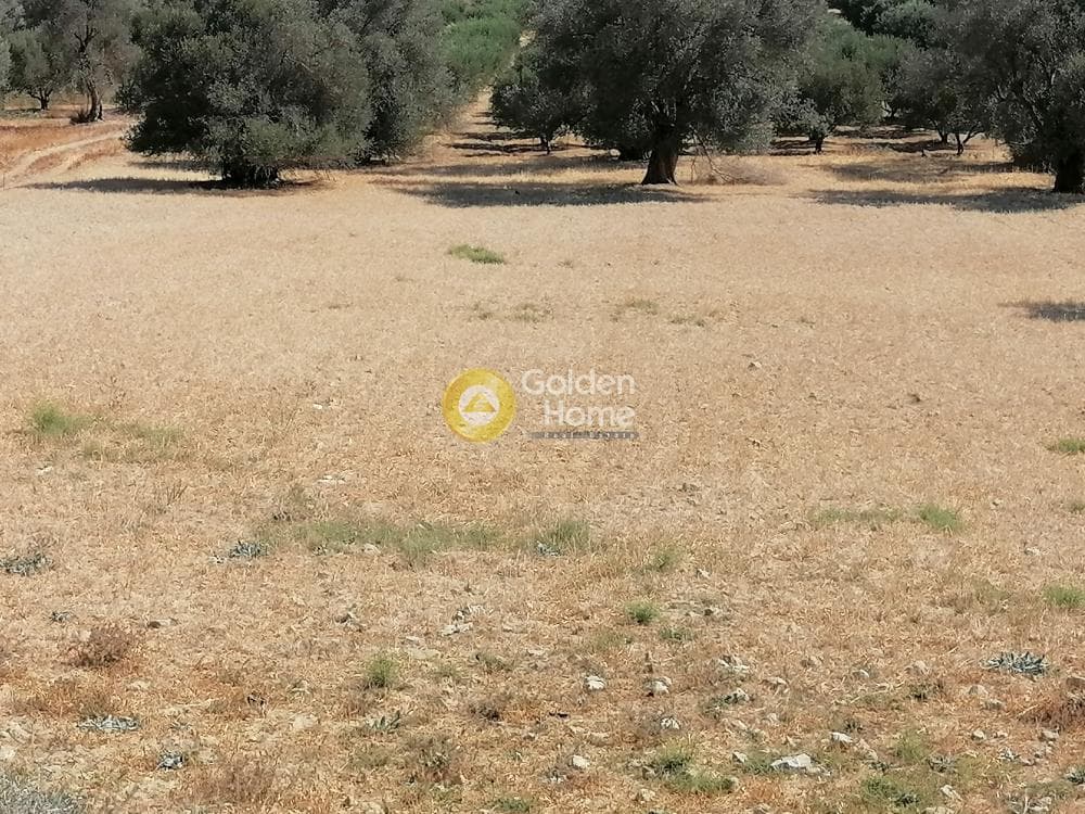 Οικόπεδο στην Κουσές, Μοίρες — Φωτογραφία 16 από 22