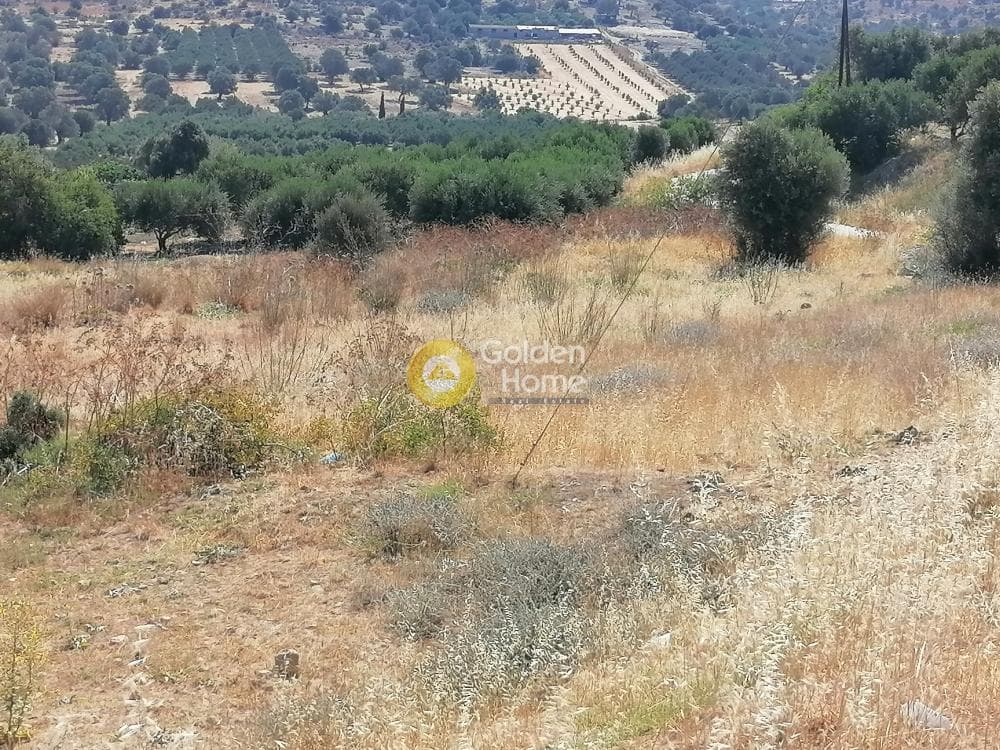 Οικόπεδο στην Κουσές, Μοίρες — Φωτογραφία 18 από 22