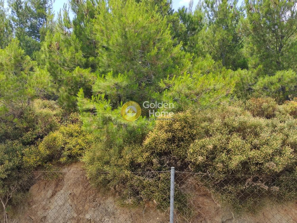 Οικόπεδο στην Δασαμάρι, Πικέρμι