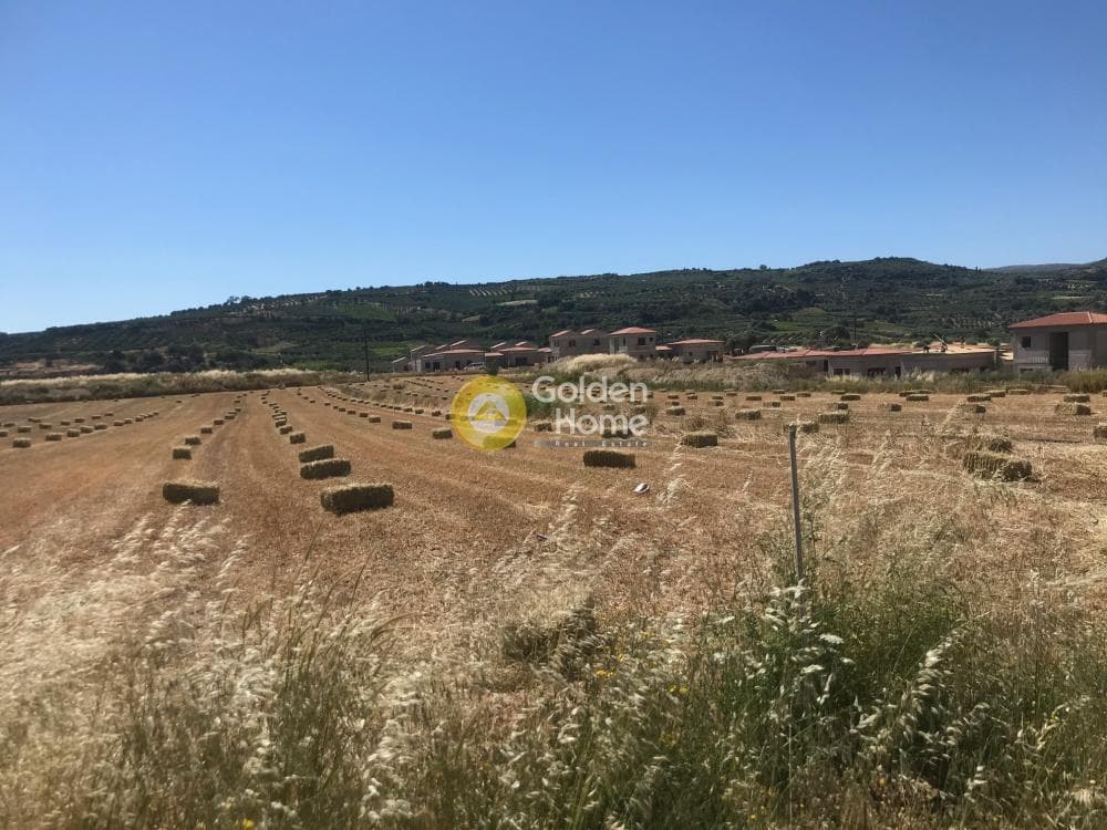 Οικόπεδο στην Αυγενική, Τετραχώρι