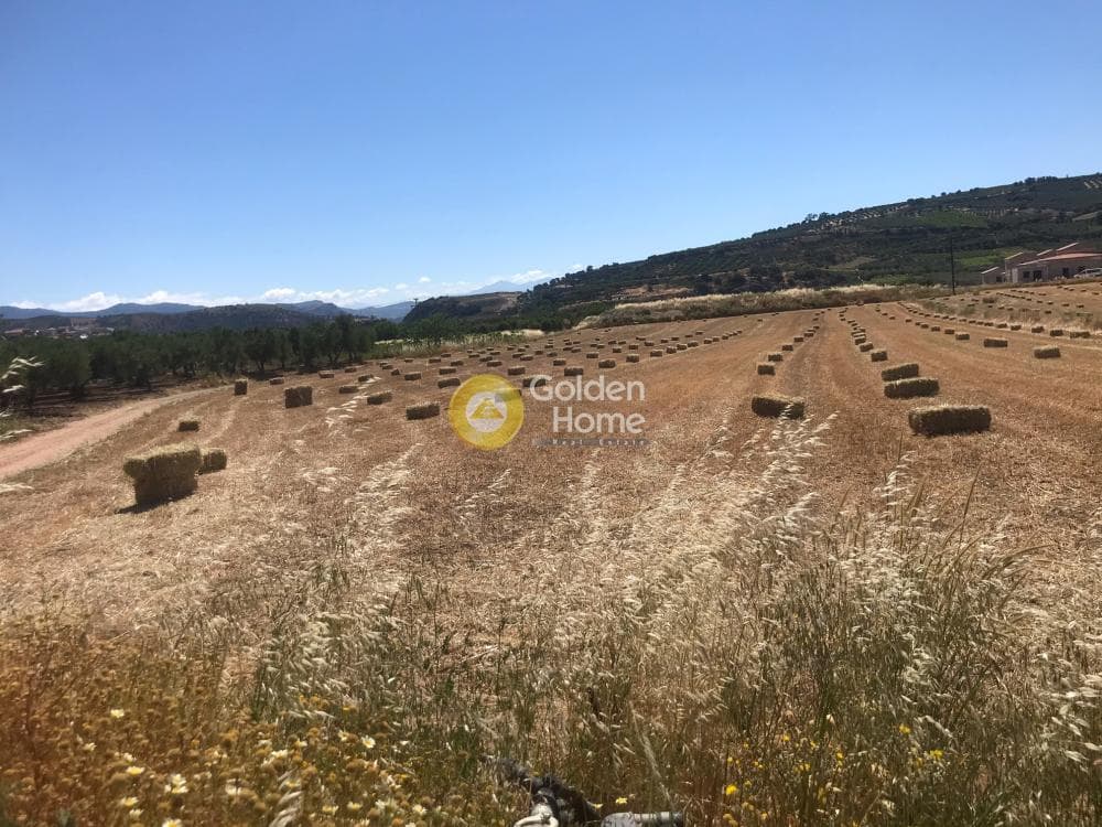 Οικόπεδο στην Νέο Βενεράτο, Τετραχώρι
