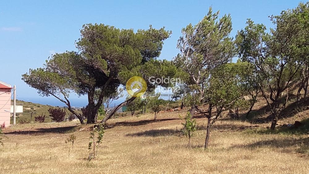 Οικόπεδο στην Κεφαλάρι, Κηφισιά — Φωτογραφία 5 από 5
