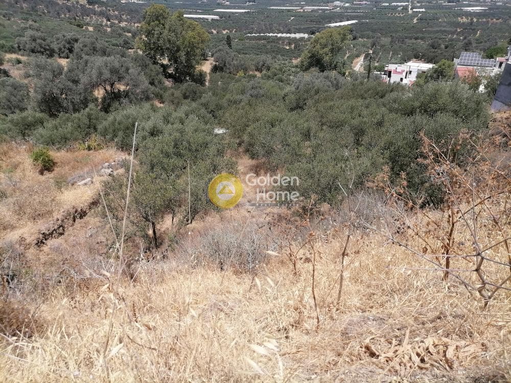 Building Plot in Kouses, Moires — Photo 14 of 21
